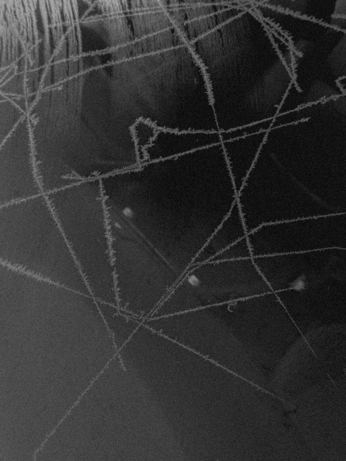 Mabley Street. London, January 2026