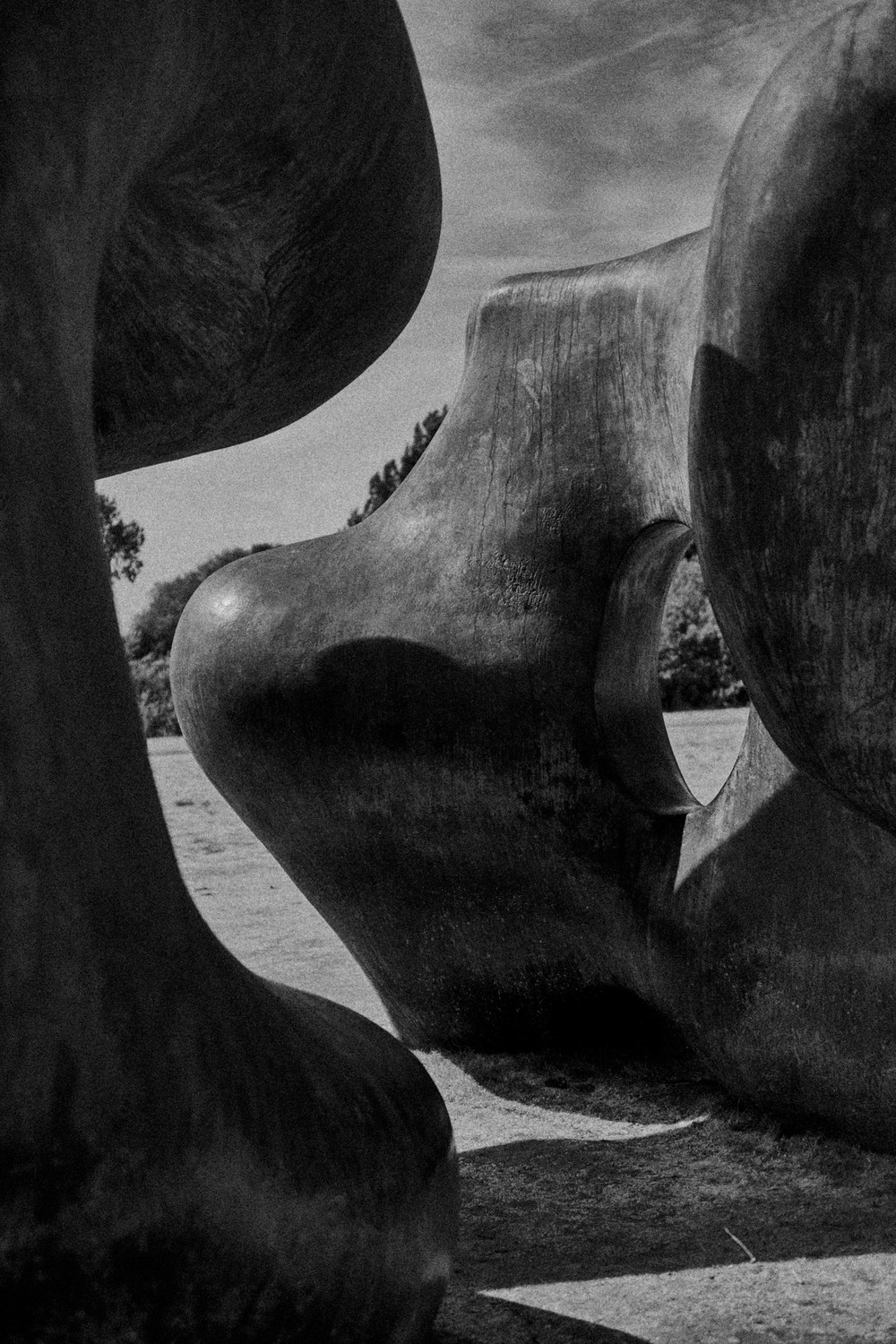 Kew Gardens, August 2026